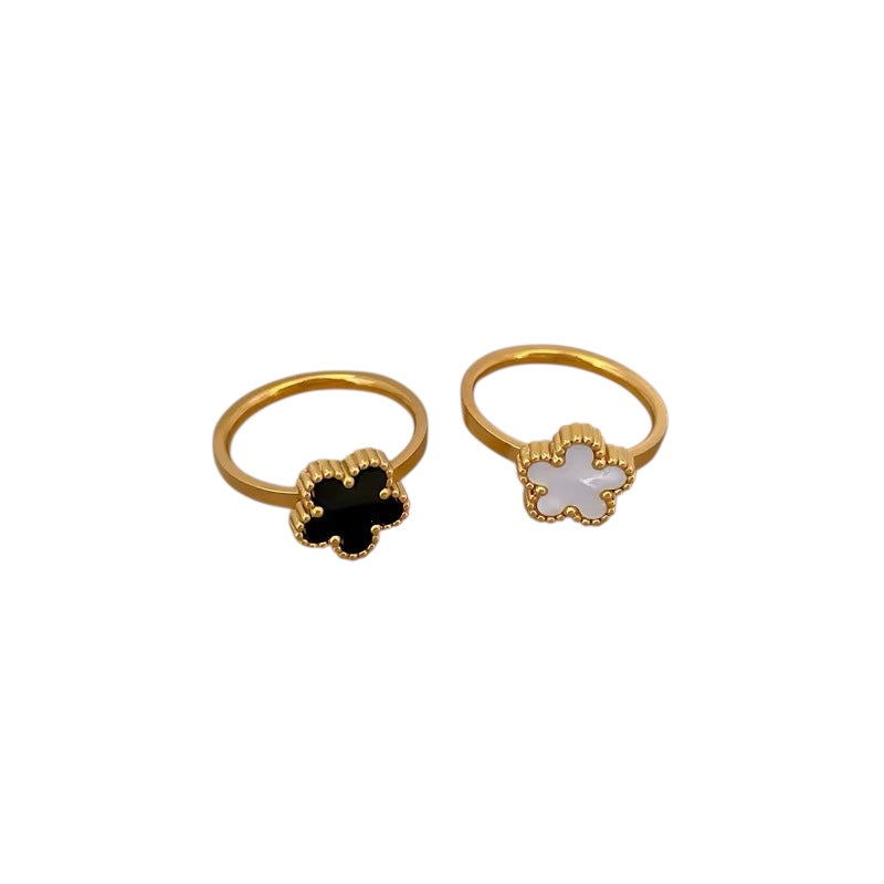 Noah Rings